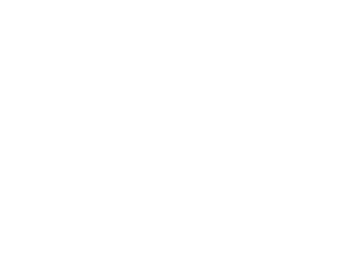 Logo PNY
