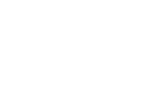logo-stealth-mousegrey-e07d468b