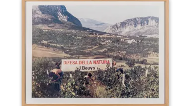 Image credit: Joseph Beuys, Difesa della natura (Defense of Nature), 1984. Color offset on heavy paper.  © 2024 Artists Rights Society (ARS), New York / VG Bild-Kunst, Bonn. Photo by Joshua White/JWPictures.com